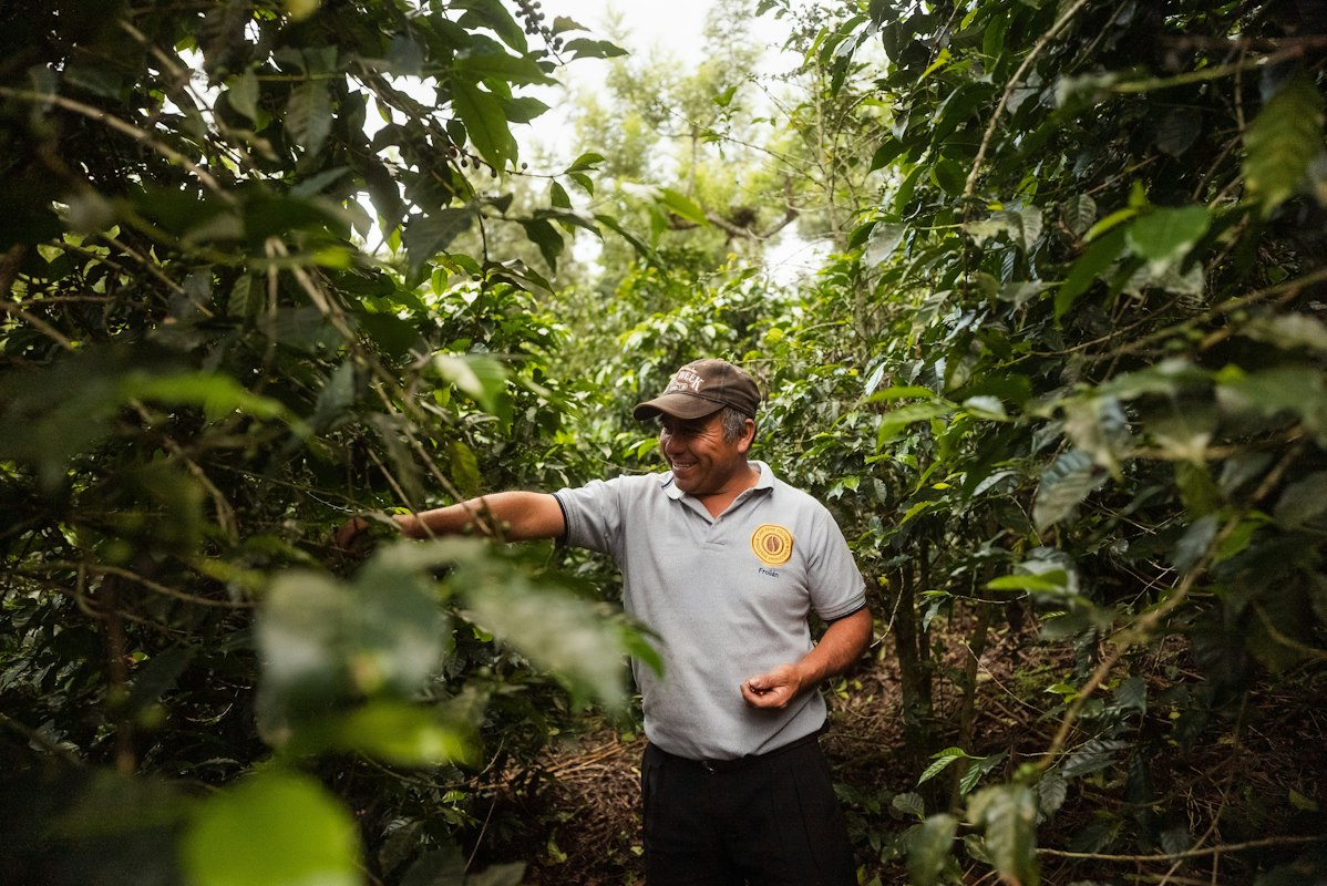 Organic coffee beans in sustainable packaging