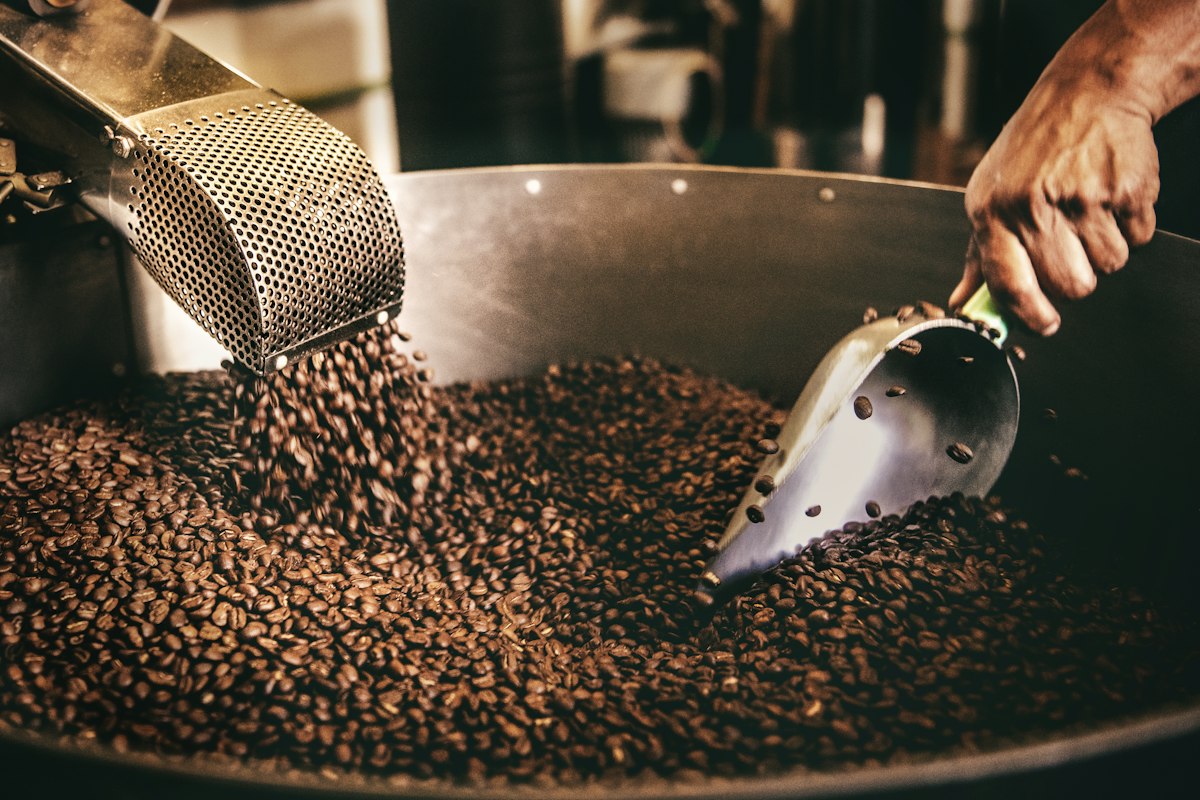 Colombian coffee plantation with lush vegetation